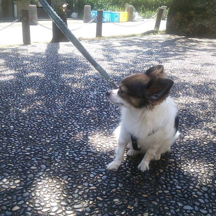 106b4f0f 819b 472d 8fe5 7eb0d4e60f72