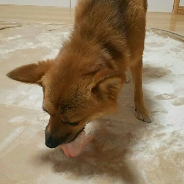 106ba653 1aa1 4305 95a4 87c0a0ed61a9