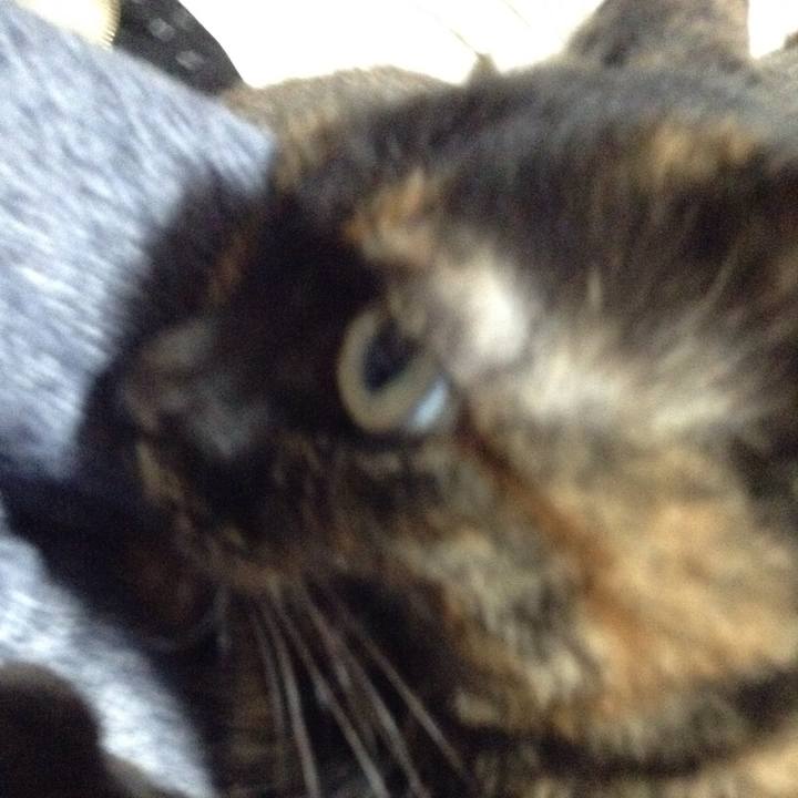 106bf06d edbe 4b05 85a5 8d615e42619d