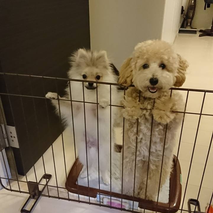 106bfce7 7150 48e5 b315 996117a54697