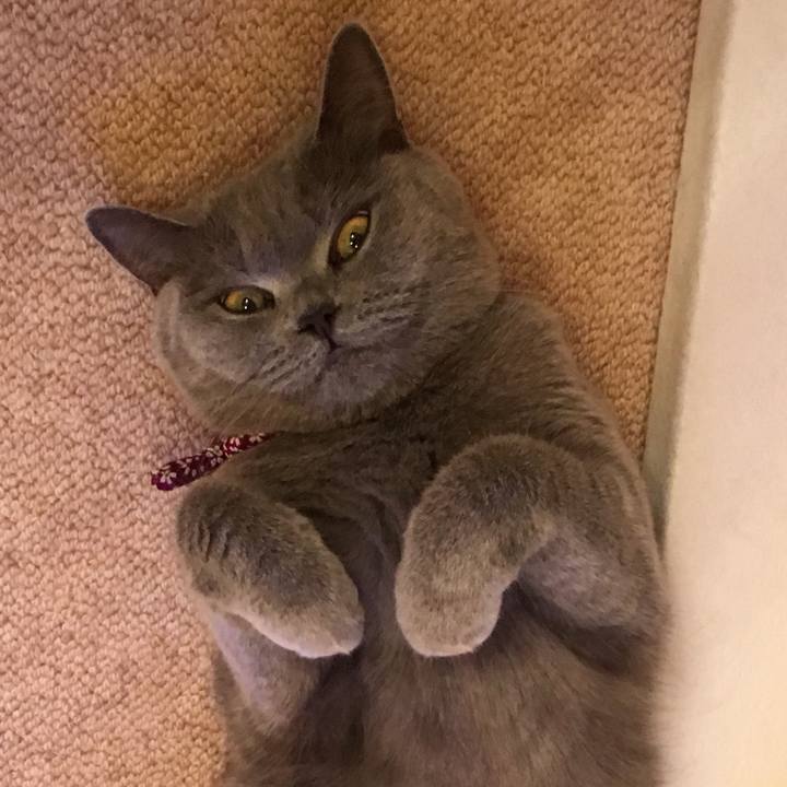 106c7b93 b3da 44fb af35 976ccf4cc06f