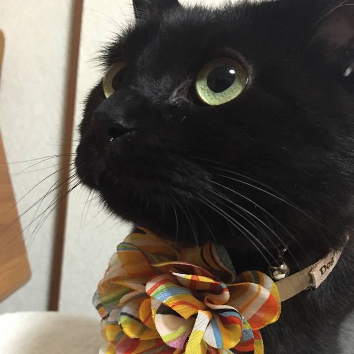 106ce9fe a22b 4cdd a3d8 5a066aa651a3