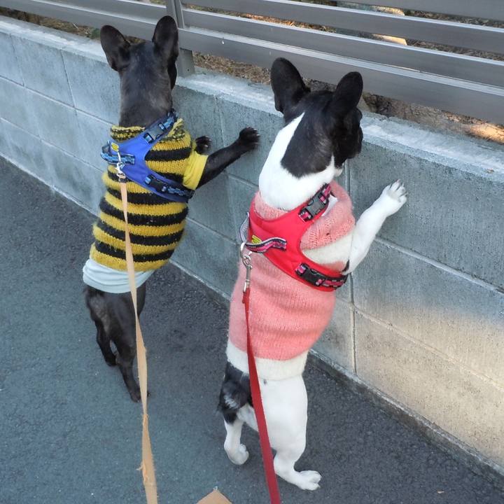 106d00bd 8b4c 4c2a b578 029b215f1b2c