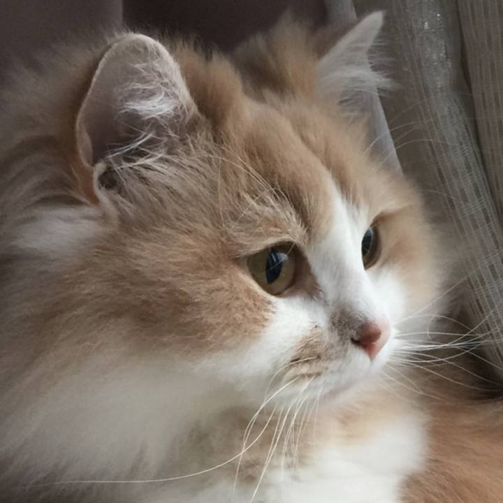 106d6d60 6665 4d31 bbdc 90536e15b886