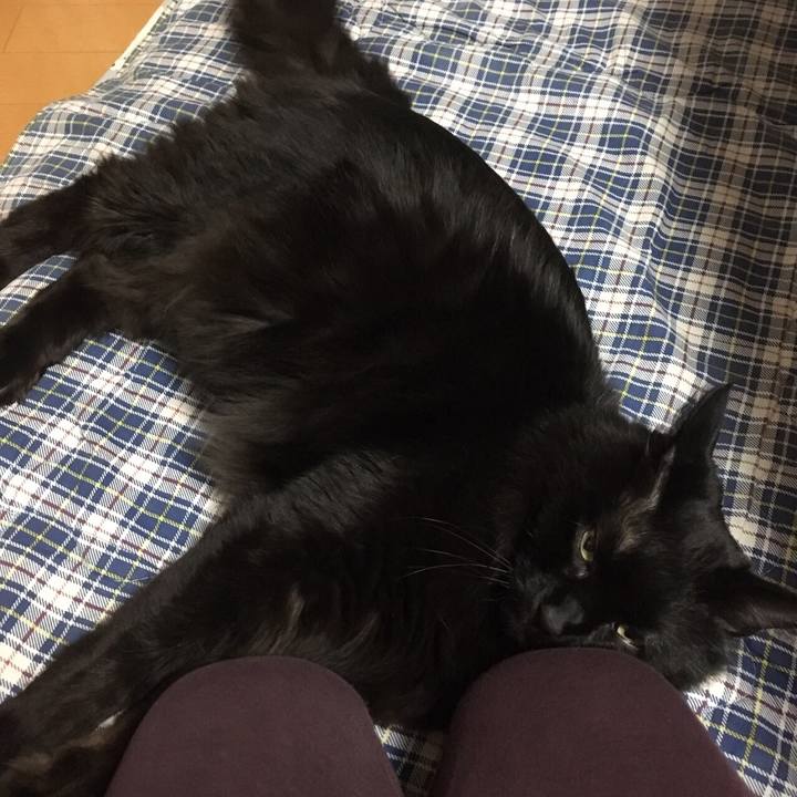 106d9ca6 8cb8 41b5 b14b 4b087d1bd206