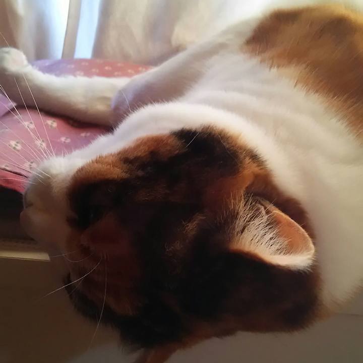 106da3a9 8fcd 4168 9117 ae87fc070b39