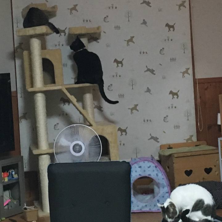 106dcb09 7bfa 44ed a8a1 e0530d7e4f51