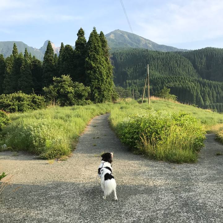 106de033 a6f6 4de7 9c4c 8517390624a8