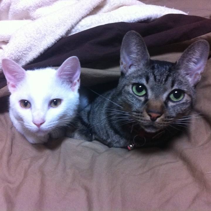 106e0884 4e1d 49a0 a880 daba0897bf33