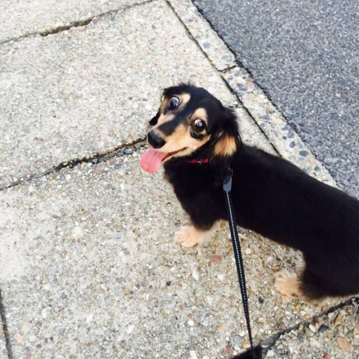 106e22fb 7c73 493d 9fb9 b084e4a99704