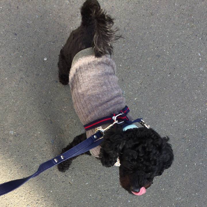 106e6a45 7acf 49e1 8cf7 26334692bfe2