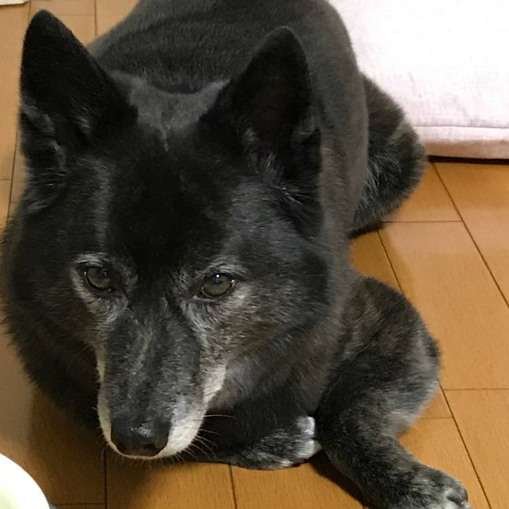 106e7152 6d7d 4c8d 97ac 0e3702c9bf7e