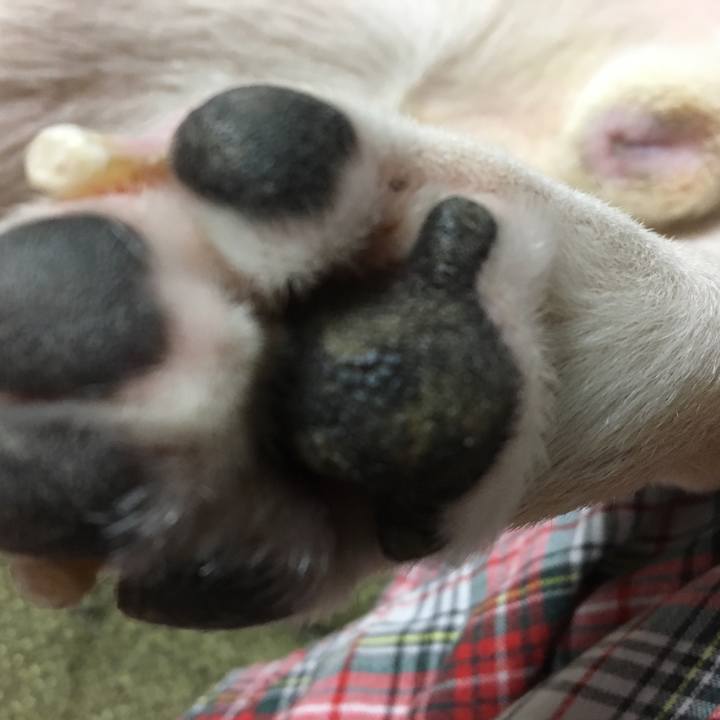 106e747c d04b 4fb9 9f5e d8a34953745d