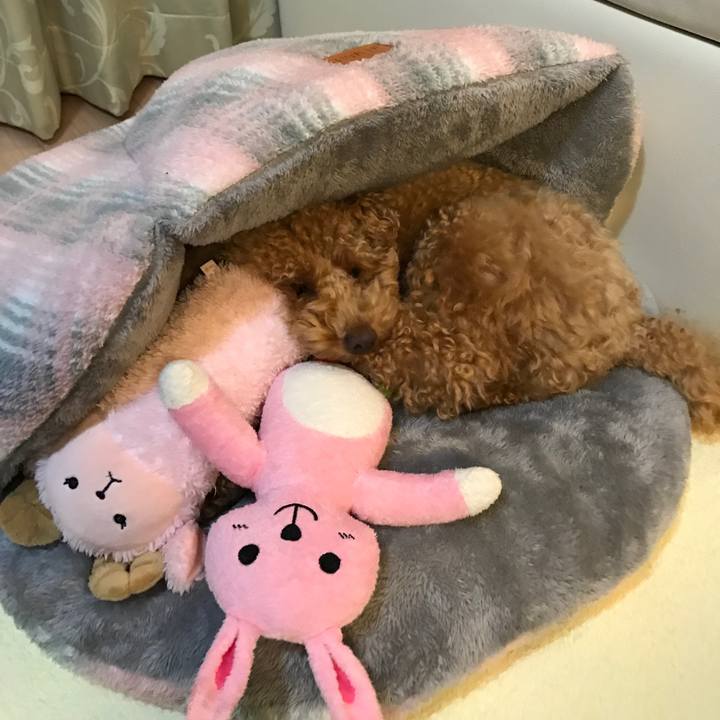 106e9817 5c79 487e 9474 ded52d7fa769