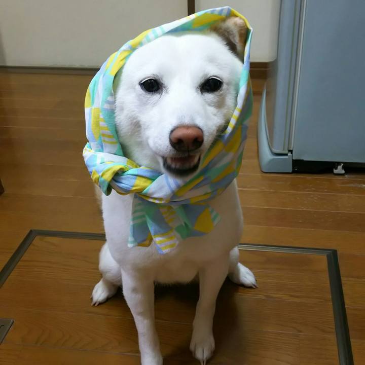 106e9c49 a010 4fe1 8957 e2d919e863ca