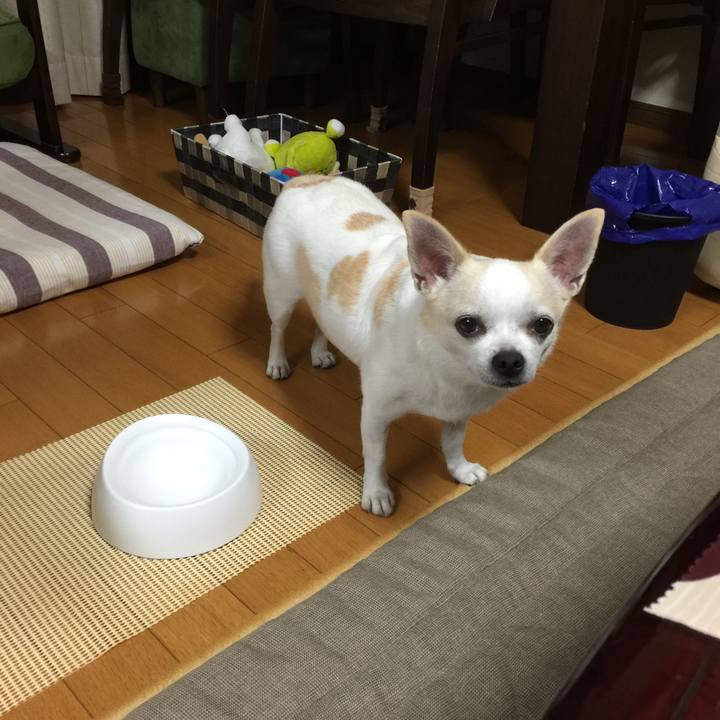 106eb71c e661 4cd0 b0c4 fd61992fe9f6