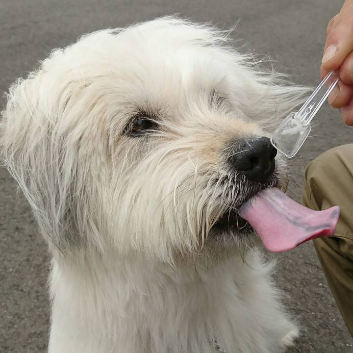 106f1975 21ba 4713 a1f3 864eaff9efe2