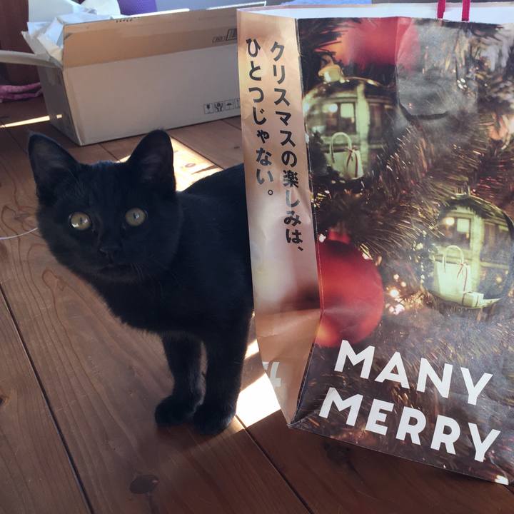 106f20bf ce54 4184 9d4a 6096610f5adf