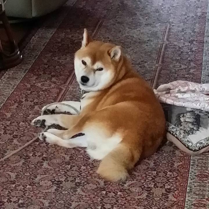 107046c0 fb34 47c5 b416 4b85de2a3fff