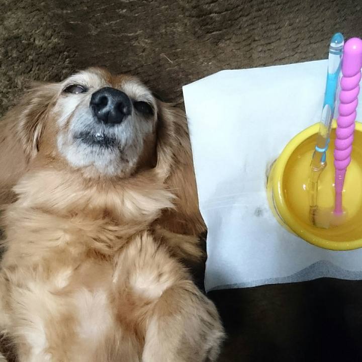 10704c33 b4c7 4441 b195 ecf58966b545