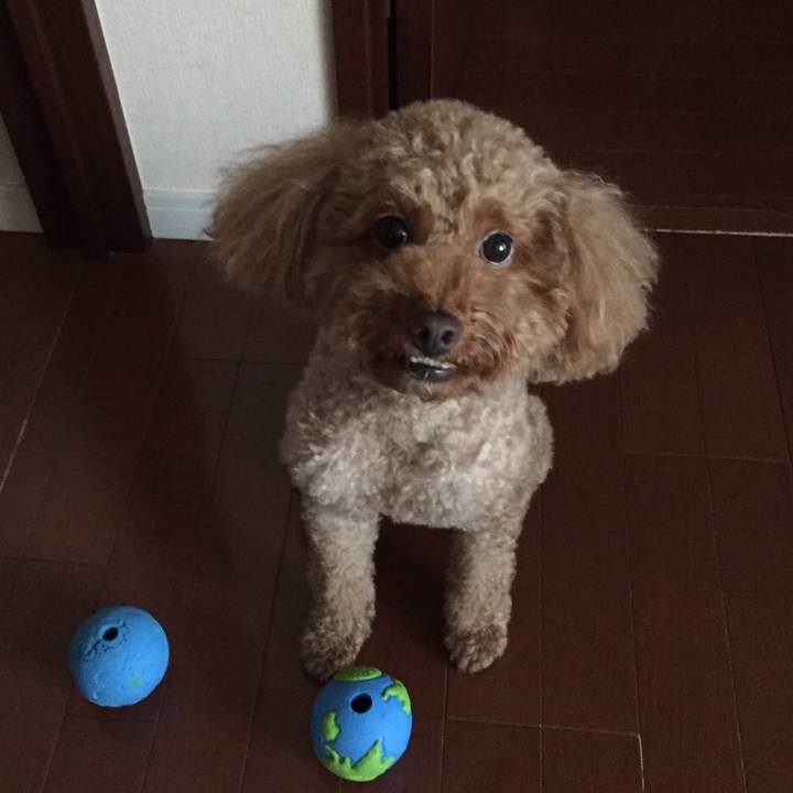 1070655a 5065 4c27 b46a d9d01a5bc9d3