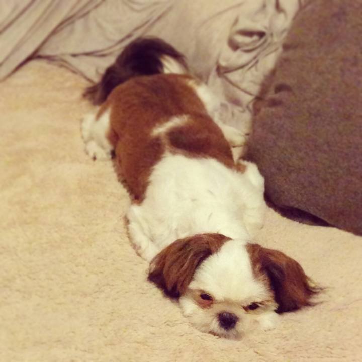 1070c09c 9b7a 49e0 aff3 e2fac4aabf09