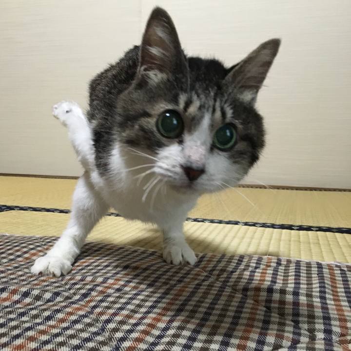 10711624 bfa4 4820 9da3 3b1c514f3cbf