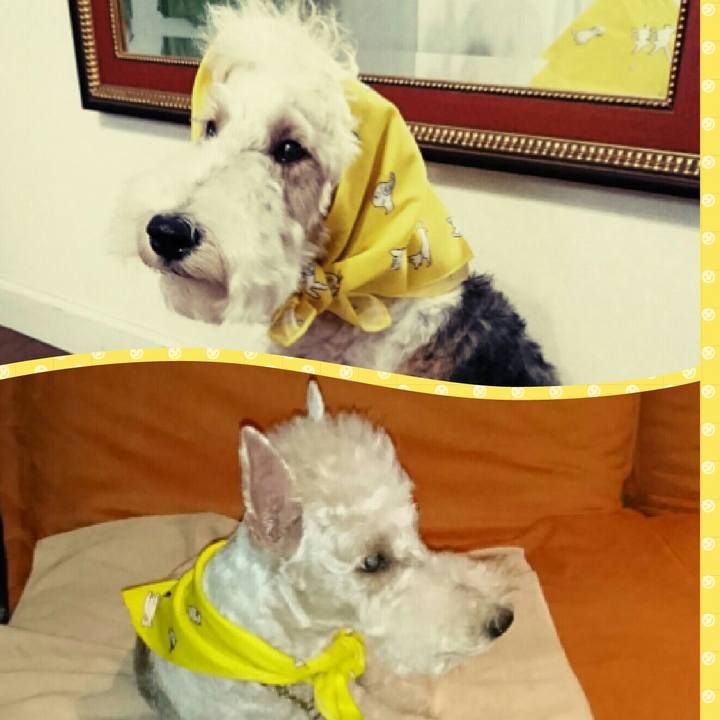 107187ae 2f7c 49ab b5ab bc51561704d0