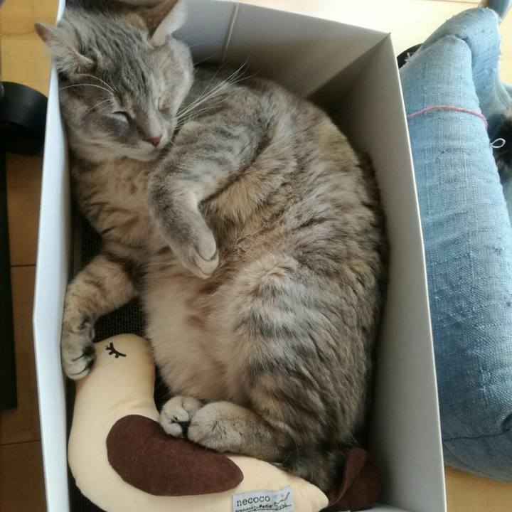 1071c326 f25e 4880 84e8 022989a780b7