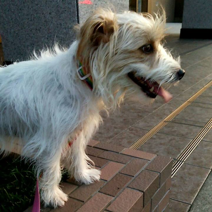 10721530 3515 4c0b 9f7e 1bf97a067c94