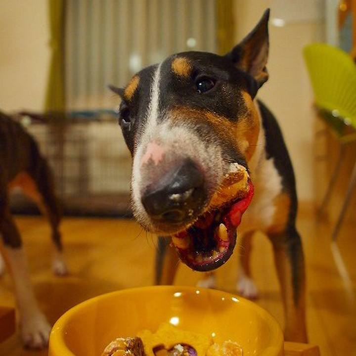 10727fd3 be80 4f8e 83a8 861b0fd10893