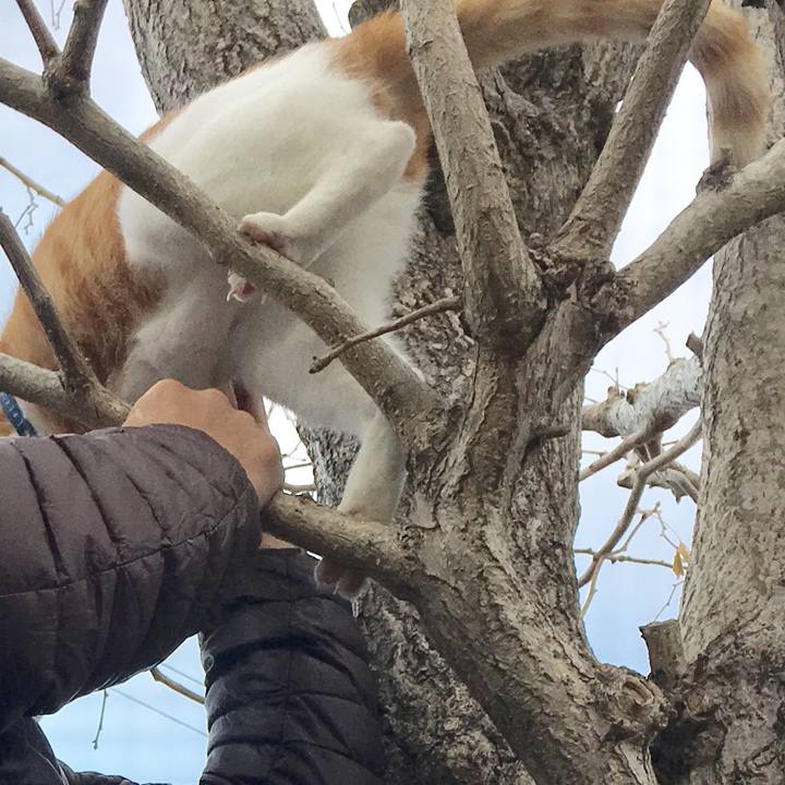 1072dbba 07fc 4e88 87c4 8cc9375cc04e