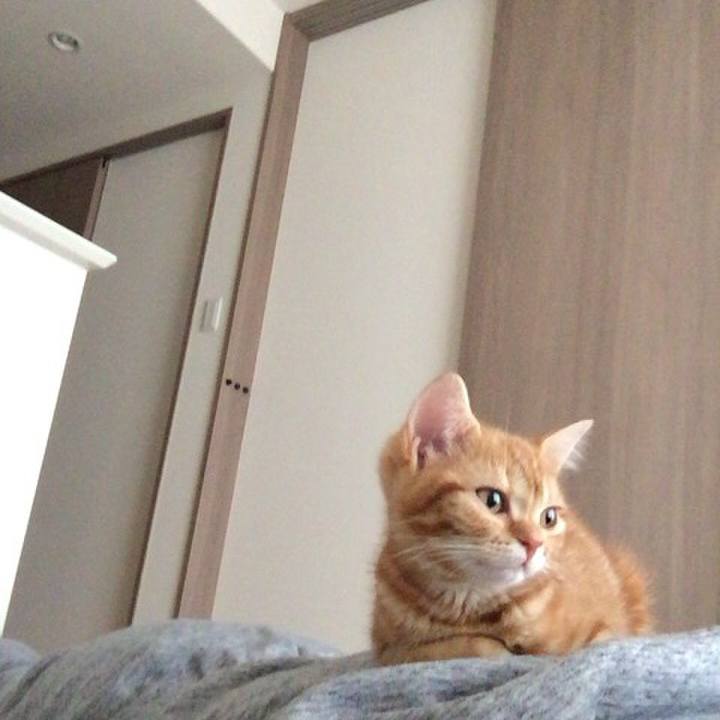 1073295f 00aa 4a28 a201 7298d4160417