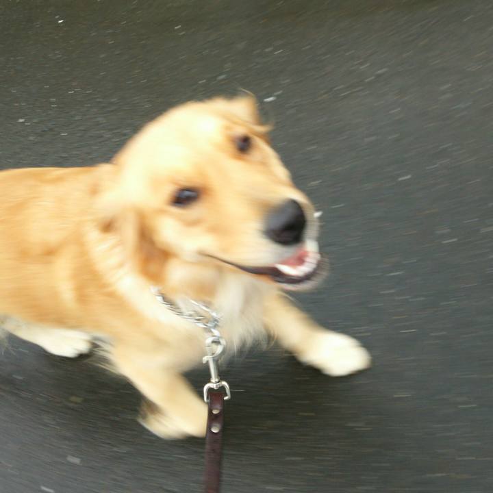 10732d24 d84d 408b 9316 e2f781eaa4c7