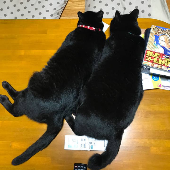 1073519d cc28 4c03 acb3 7f7cdbf85b4e