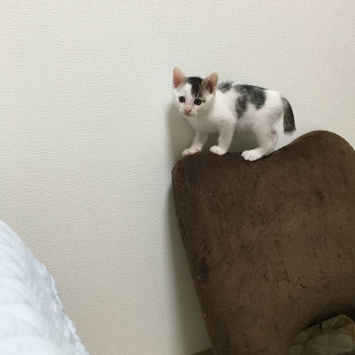 1073d292 5a49 404f 9882 fbd256d58dd5