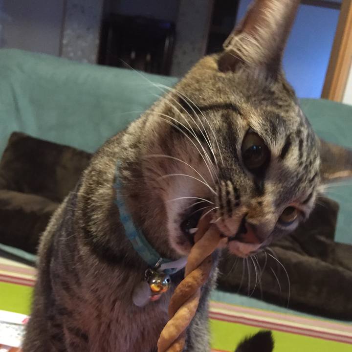 10742dc5 dd01 41b1 9098 43c49c44d7ea