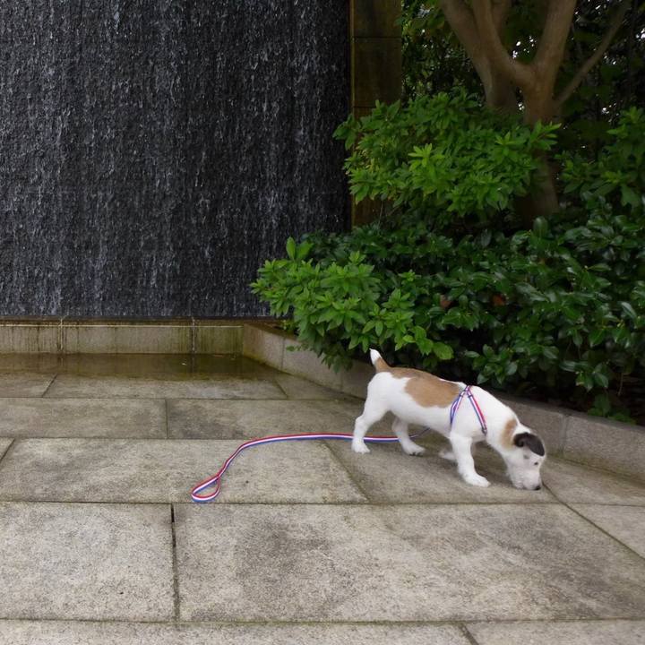 10743a07 6216 4f63 a182 1fd2dcc450ac