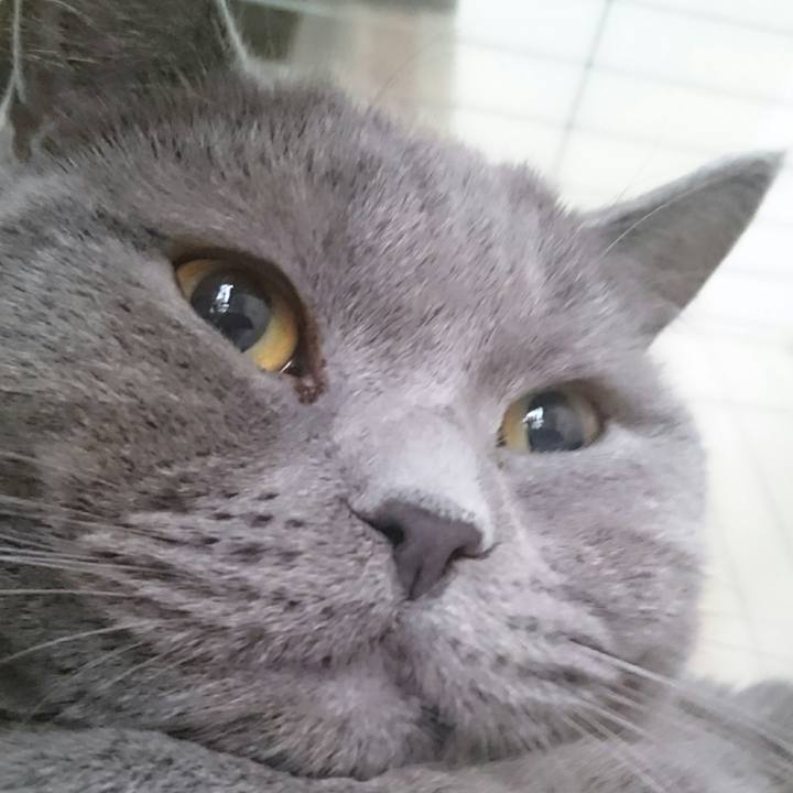 10750335 c636 424f 978d 920673b03eaa