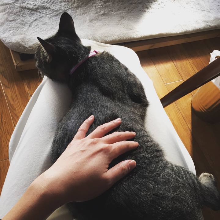 107503ad f55b 45f3 ba06 0f2f759ecf6b