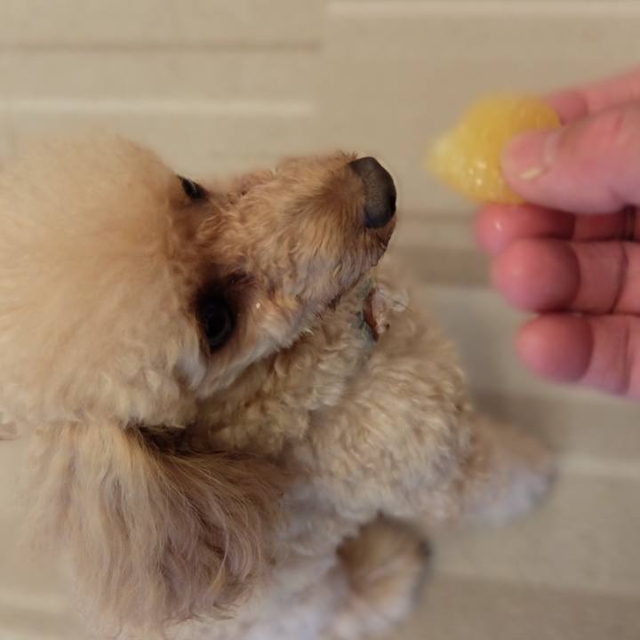 1075f22f 4367 4679 8ff0 cd2ced99fe41