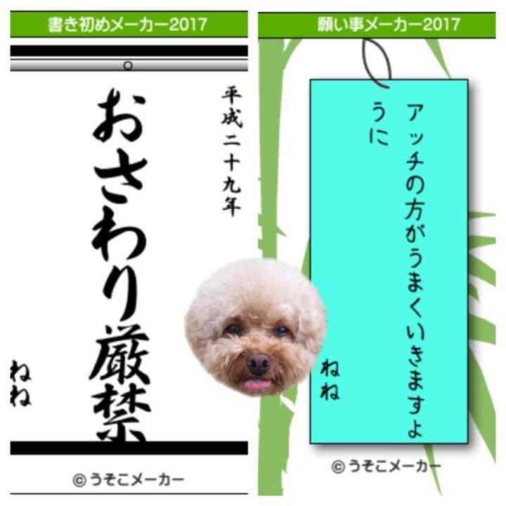 107641ac ca26 4de9 951e 43da87964994