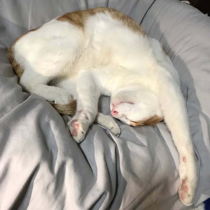 10774810 ea17 43cc ac78 ad6811812354