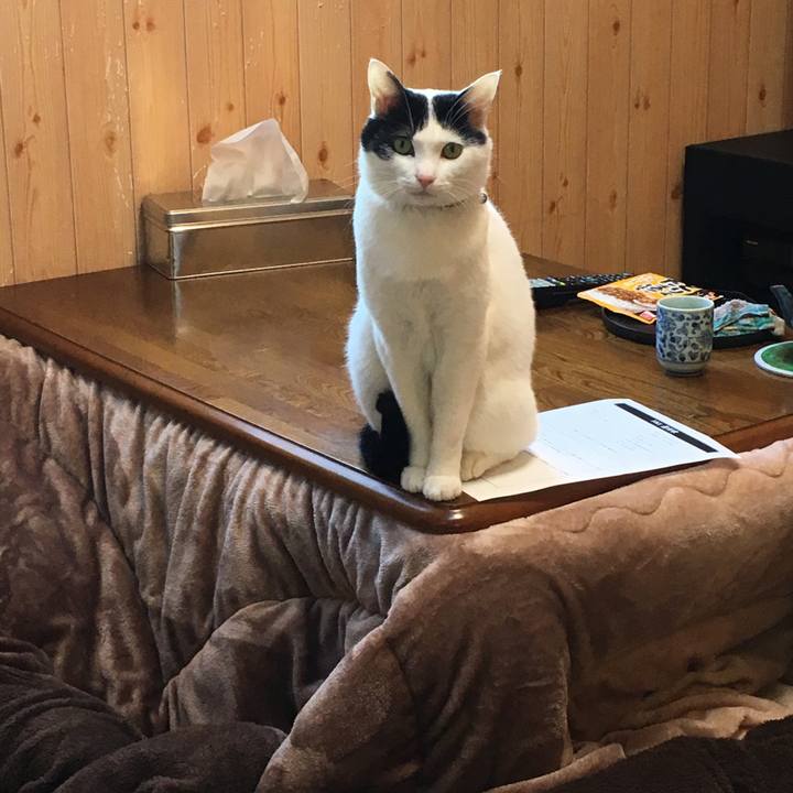 107754a5 886c 45d6 9cb6 fa7cbd2b3f21