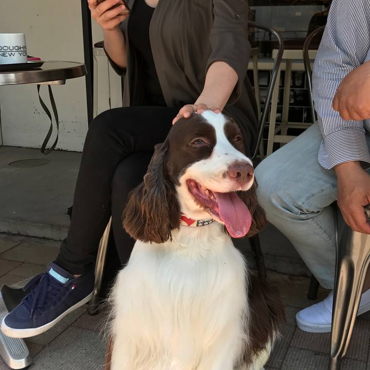 10776151 4216 460e 9309 9e1e94a3fe3b