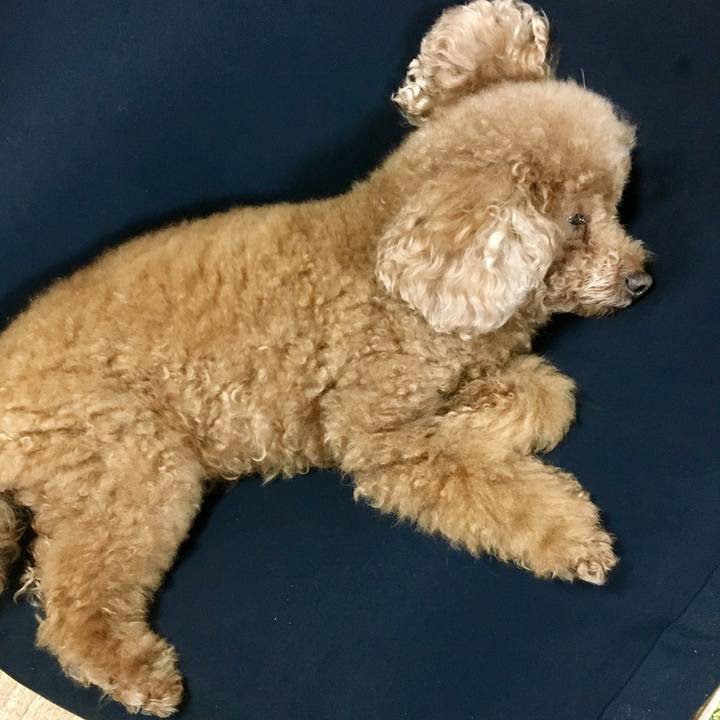 1077d2bf e69a 4e73 ae11 3c1efa20da0f