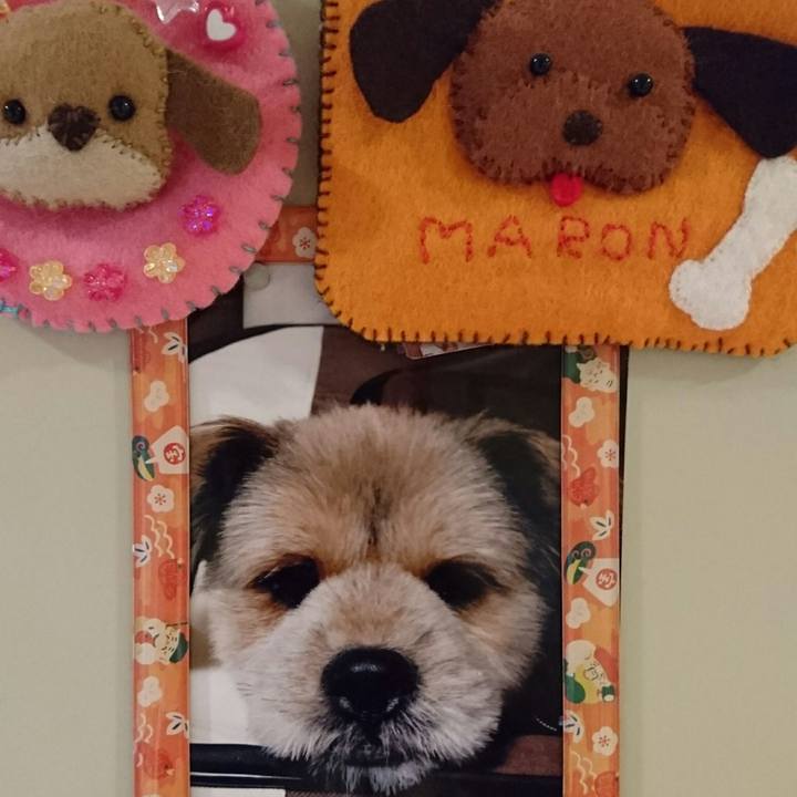 1078d6f6 091e 4829 824e 11dc83d015c2