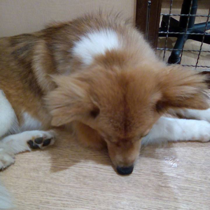 1078f563 96ec 4ba6 aa46 baa3a8e43b02