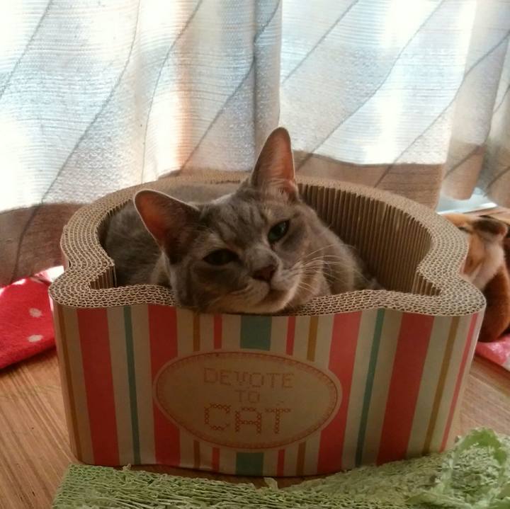 1079300c 888d 4acb b4d3 8a1bf1b708ad