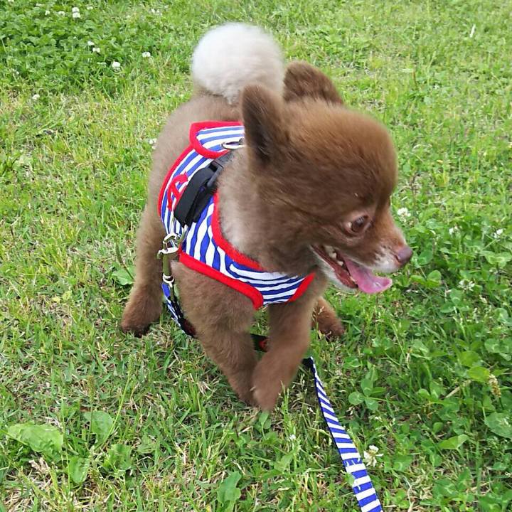 107a4b9d b612 4735 8d43 9c01f782ad35